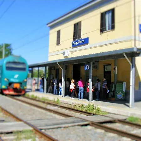 L'orchidea
